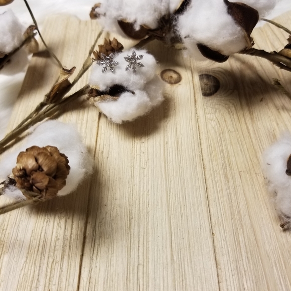 ❄❄Gorgeous CZ Snowflake earrings❄❄ - Picture 9 of 10